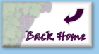 Back To The Homepage.