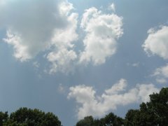 Just A Day